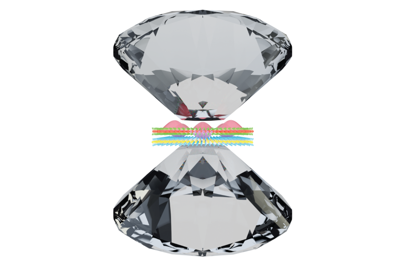 The flat tips of two diamonds compress an atomically thin material.