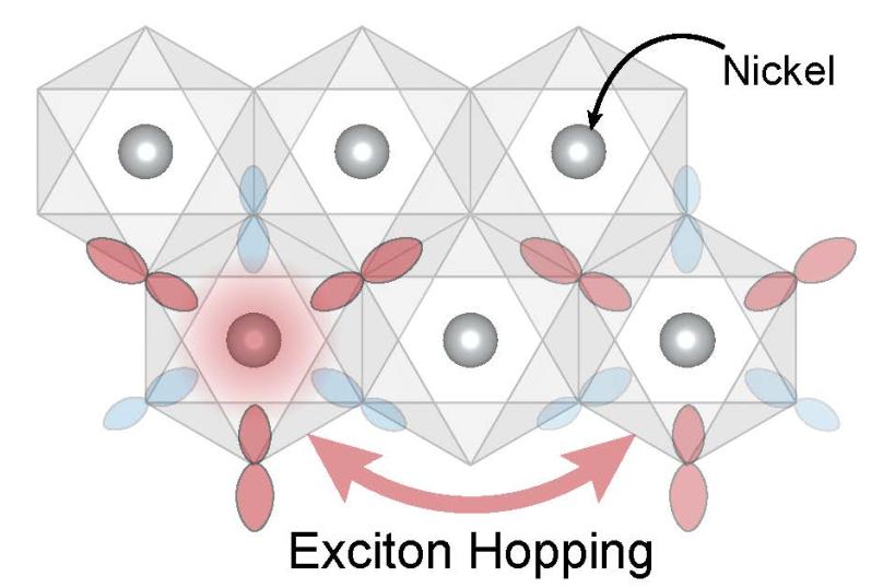 Schematic showing how exotic particles known as excitons can “hop” between nickel atoms (grey dots) in the nickel dihalide materials.