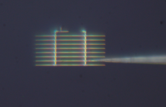 microscope photograph with horizontal lines