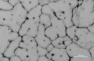 A microscopic view of metal surface captured with a scanning electron microscope, revealing intricate microstructures and grain boundaries