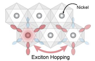 Schematic showing how exotic particles known as excitons can “hop” between nickel atoms (grey dots) in the nickel dihalide materials.