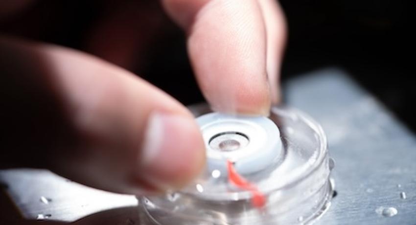 two fingers turning a dial