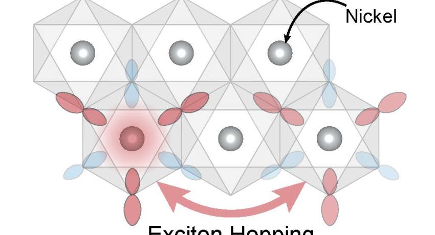 Schematic showing how exotic particles known as excitons can “hop” between nickel atoms (grey dots) in the nickel dihalide materials.